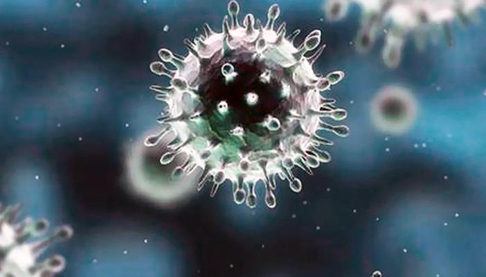 تسجيل أول إصابة بفيروس كورونا في قطر عام 2015