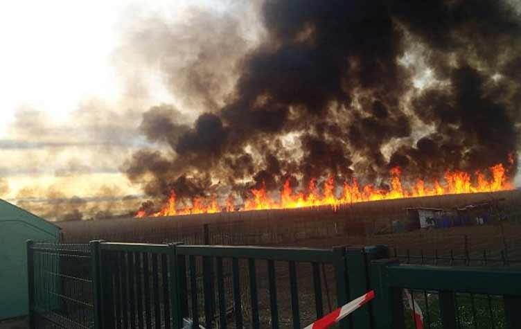 بالصور.. حريق هائل في مطار أورلي الدولي بباريس