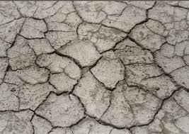 آلاف الأفدنة الزراعية مهدة بـ”البوار”