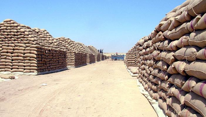 مصر من “سلة غذاء أوروبا” إلى أكبر مستورد للقمح عالميًا