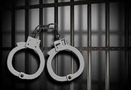 كلية الدراسات الإسلامية تسلم  6 طالبات لقسم ثان المنصورة