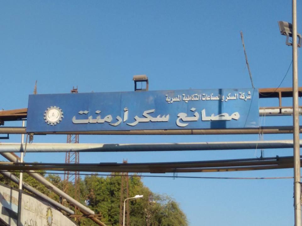 بالصور.. استيراد السكر من الخارج ومصانع أرمنت بالأقصر مهددة بالإغلاق