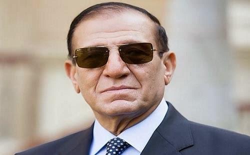 عنان: نعم للدستور لحماية ثورتي 25 يناير و30 يونيو