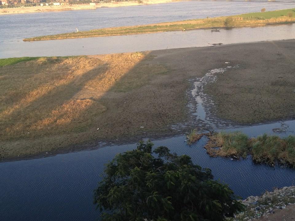 بالصور.. ظهور حشائش نيلية وجزر طينية لانخفاض منسوب النيل بسوهاج