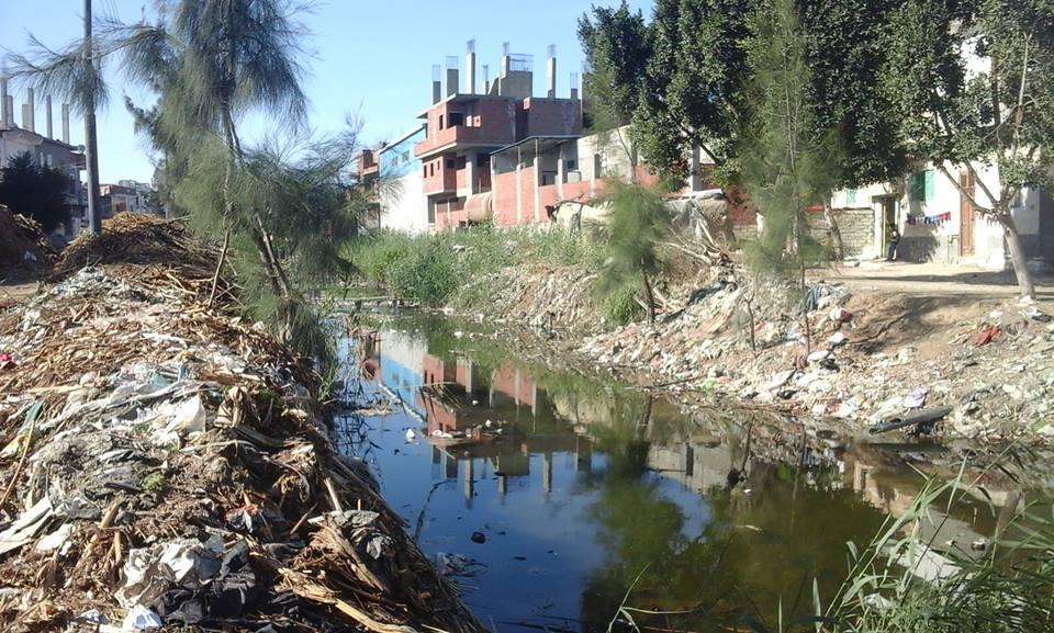 بالصور.. إهمال محافظ البحيرة يوحي بكارثة لقرى مركز “حوش عيسى”