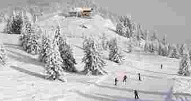 موجة البرد تقتل 21 شخصاً فى أمريكا