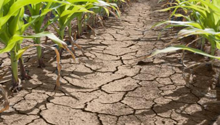 استغاثات مكررة لأهالي قرية “الشيخ الحصري” بقنا بسبب نقص الخدمات