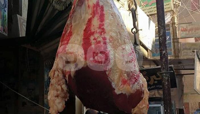 فساد لحوم القوات المسلحة يرفع أسعار اللحوم بأسيوط