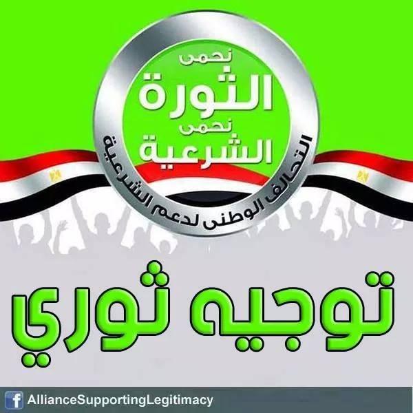 دعم الشرعية: 14 يناير بداية الحشد الثوري