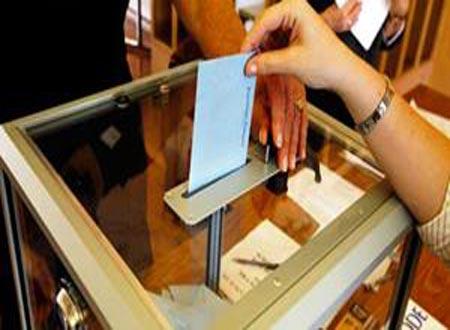 نادي القضاة: الفرز باللجان الفرعية