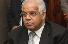 بالفيديو | محافظ القاهرة لسيدة تشتكي: “مش فاضى عندي مشكلة”