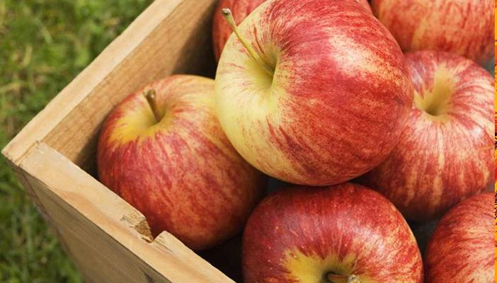 منها مكرونة الخضراوات.. 4 أطعمة ينصح بها خبراء التغذية