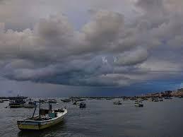 الأرصاد: الطقس معتدل نهارًا ورياح مثيرة للأتربة.. القاهرة 20