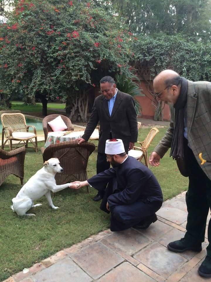 مستشار السيسي يصافح كلبًا ومغردون: “شيوخ الكلاب هم اللي ضيعونا”