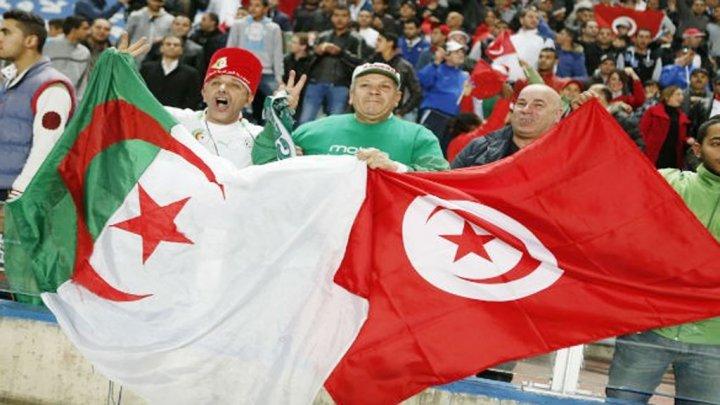 مواجهة حاسمة بين تونس والجزائر.. والسنغال الأقرب للتأهل