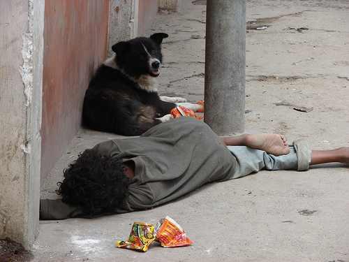 رئيس القومي للبحوث الجنائية: أطفال الشوارع في القاهرة 88 %