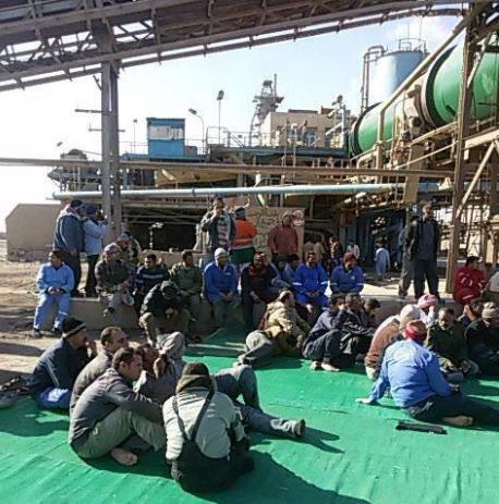 بالصور.. إضراب عمال شركة “سكر الفيوم” لليوم الرابع عشر على التوالي