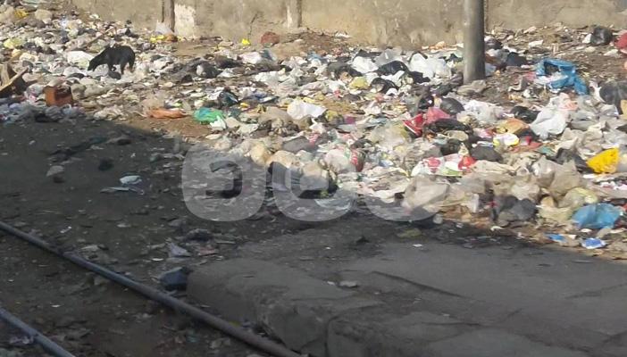 بالصور.. القمامة.. الحيوانات.. أبرز مشاكل خط قطار القاهرة- القناطر