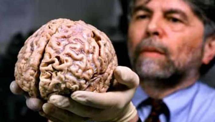 دراسة أميريكية: العقل البشري قادر على تخزين 4.7 مليارات كتاب