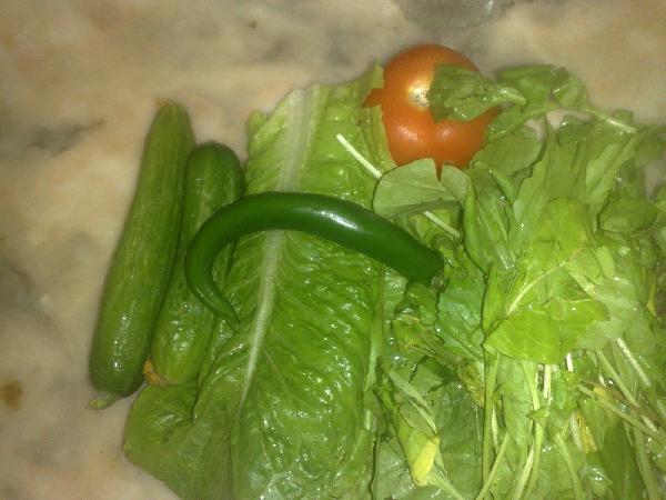 6 خضراوات قليلة السعرات لصحة أفضل ووزن أخف