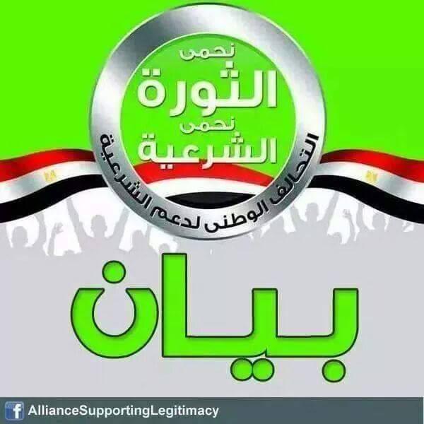 دعم الشرعية: حشود اليوم لم تشهدها مصر منذ فترة طويلة