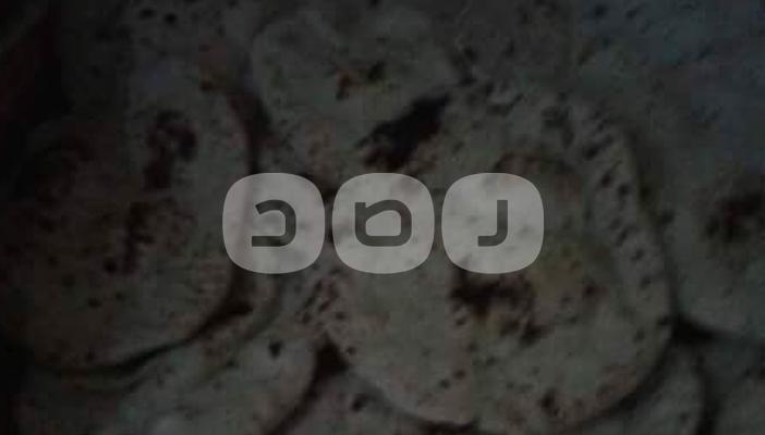 أسيوط تبحث عن رغيف خبز يصلح للاستخدام الأدمي