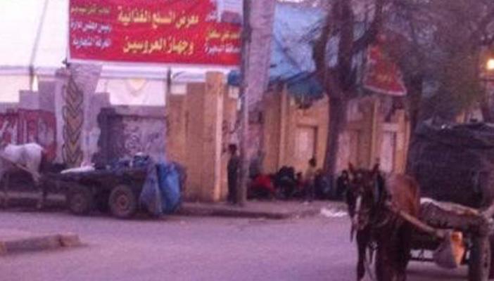 بالصور.. “كارو الكراتين” قنبلة موقوتة تهدد آلاف المواطنين بالبحيرة