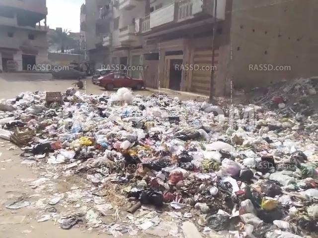 المحلة الكبرى..تفاقم أزمة القمامة ولا وجود للمسئولين