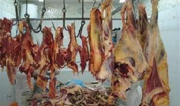 ضبط 200 كيلو “لحم حمير” مجهزة للبيع في المنيا