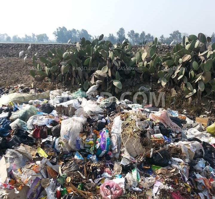 الطريق الزاراعى يتحول إلى مستنقع للقمامة