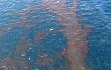 تشغيل محطة مياة بكفر الشيخ بعد توقفها نتيجة وجود بقعة زيت