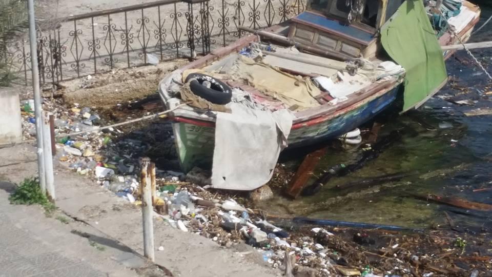 مخلفات السفن والخراف النافقة تنتشر بقناة السويس