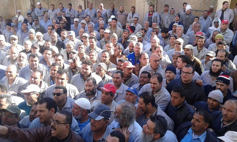 استمرار إضراب عمال الشركة المالية بكفر الزيات