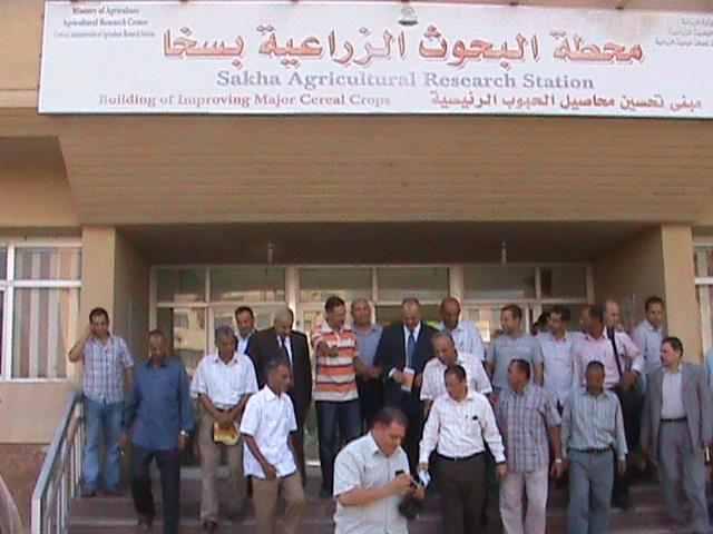 لليوم الخامس على التوالي .. استمرار اعتصام المؤقتين بمركز بحوث سخا بكفر الشيخ