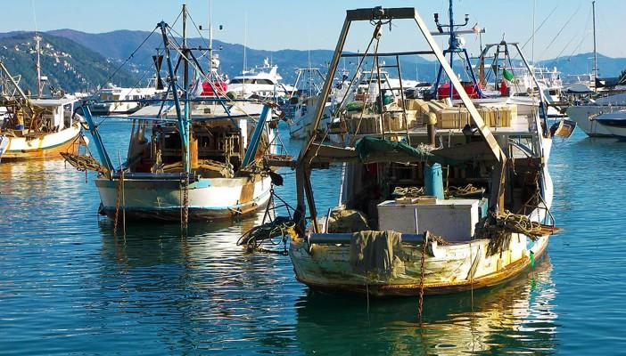 الخارجية المصرية تحذر الصيادين من دخول المياه الإقليمية الليبية