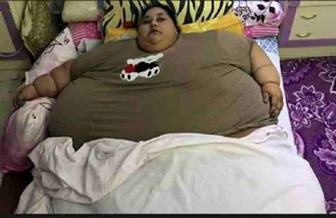 بالفيديو.. الغيطي يهاجم الحكومة بسبب أسمن فتاة في العالم: “يادي العار”