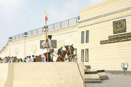 مقبرة العقرب توحدنا