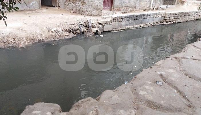 بالصور.. فلاحو أبشواي بالفيوم يروون أراضيهم الزراعية بمياه الصرف الصحي