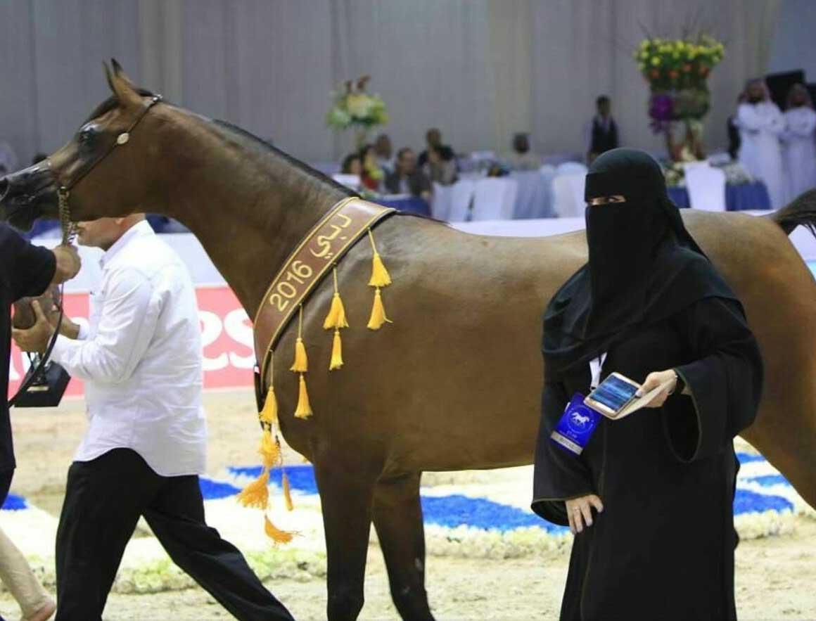 #كارثه_جديدة_للترفيه_بالرياض يجتاح “تويتر”..والموصل تحوز 66 ألف تغريدة