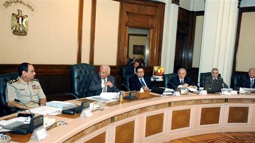 قصر حق الطعن على العقود بين الحكومة والمستثمر فقط