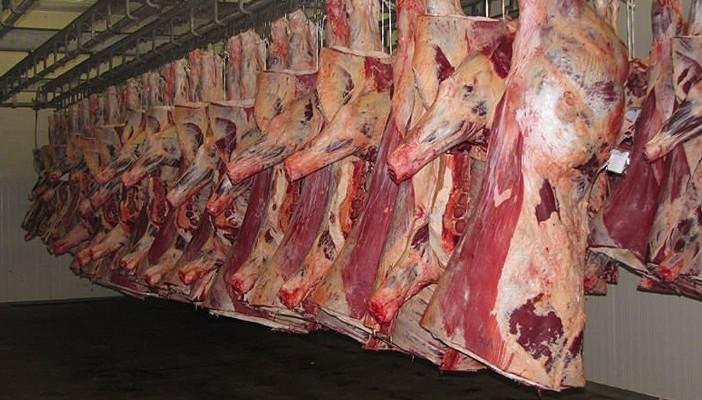 تقرير: لحوم الأبقار وراء 80% من إصابات البكيتريا المعوية