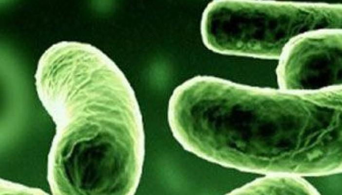 دراسة بريطانية أسترالية: عدوى الكلاميديا المنقولة جنسيا تسبب العمى