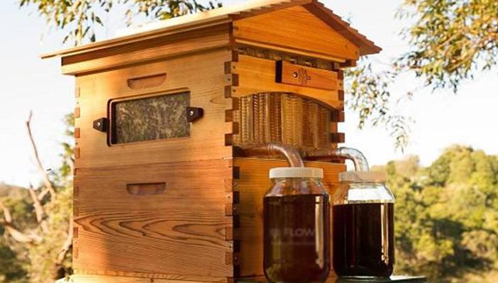 بالصور.. “صنبور خلية نحل” اختراع أسترالي لتعبئة العسل من الخلية مباشرة