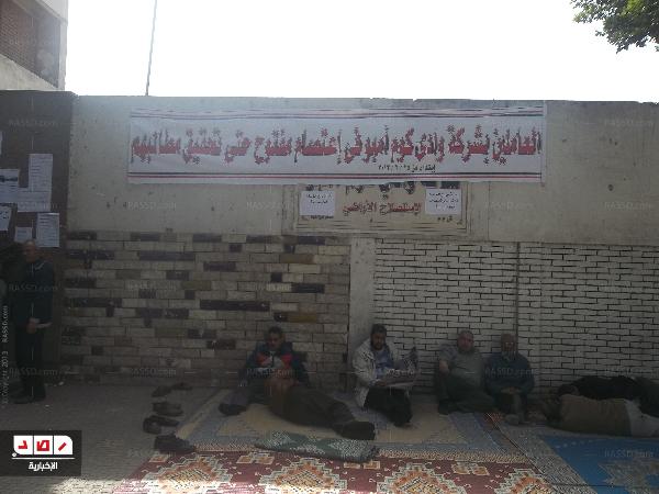 كوم إمبو.. شركة شعارها  الفساد للجميع والشرفاء يمتنعون