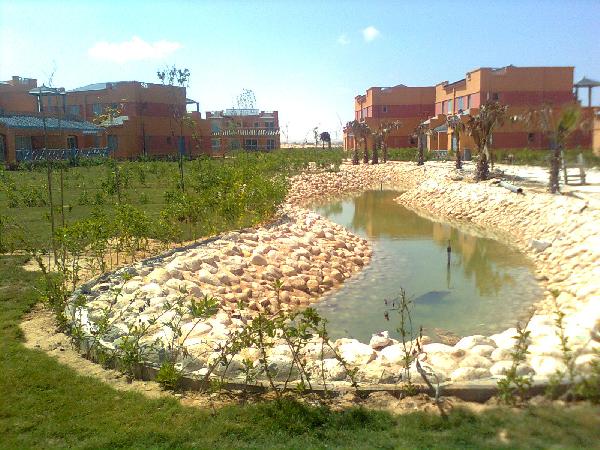 وزير التخطيط: استثمارات حكومية بنحو 738 مليون جنيه لمكافحة الفقر في القرى الأكثر احتياجا