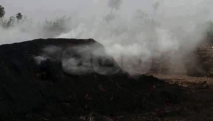 بالصور.. رغم قرار إغلاقها.. مفاحم الخشب بالحسينية تهدد صحة الأهالي
