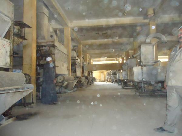 عمال مصنع البصل بسوهاج يطالبوا بتأميمه وعودة مستحقاتهم