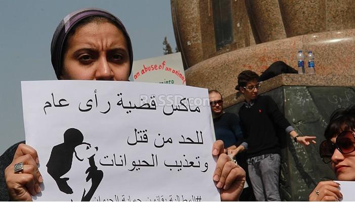 كلب شبرا ومحاكمة أميني شرطة ومذبحة أسوان.. أبرز قضايا اليوم