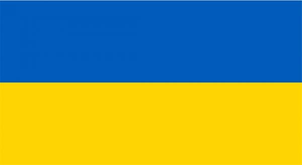 الحكومة الأوكرانية الجديدة تقرر بيع سيارات الرئاسة