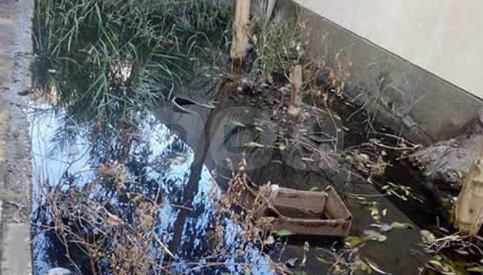 بالصور.. قرية الصعايدة ووحدتها الصحية تغرق في مياه الصرف بالأقصر